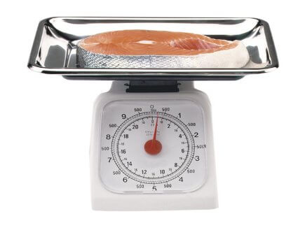 Stainless Steel 22lb Kitchen Scale